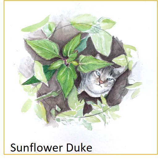 Sunflower Duke