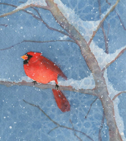 Red Barn Studio - Winter Cardinal - January 12 Image