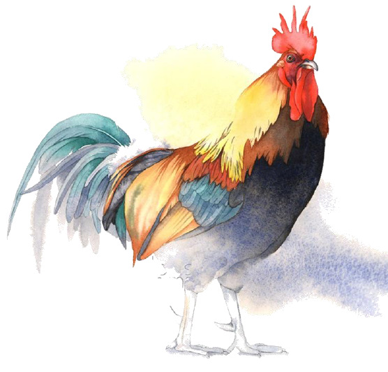 Red Barn Studio - Rooster - February 2 Image